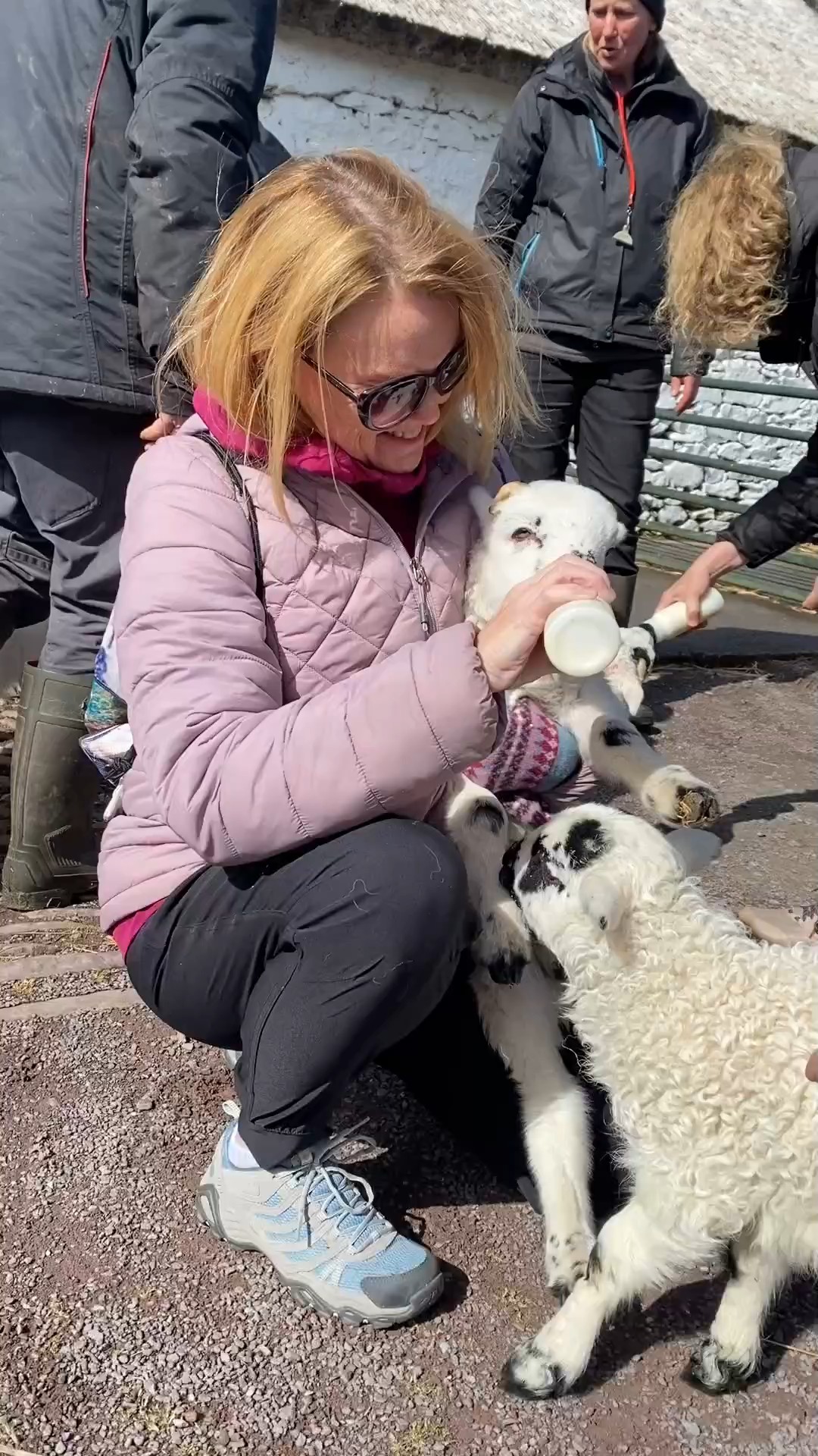 Trouvez votre circuit idéal au Falaises de Moher. Nous avons 74 aventures à vous proposer au Falaises de Moher entre 3 et 7 jours.