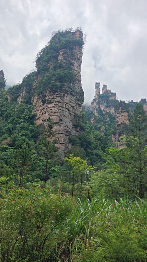 Vídeo de reseña del cliente sobre Viaje de 11 días a Zhangjiajie, la mejor China: Grupo reducido de lujo y hoteles de calidad