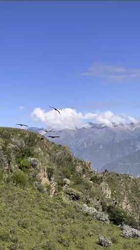 Land van de Inca's en thuisbasis van de prachtige verloren stad <a href="/nl/v/berg-machu-picchu">Machu Picchu</a>: verken een land dat rijk is aan cultuur en geschiedenis. Wandel door de Andes en ontmoet de lokale bevolking op de Uros-eilanden van <a href="/nl/v/meren-titicacameer">het Titicacameer</a> -  een vakantie in Peru biedt een groot aantal activiteiten voor elke reiziger. Probeer ayahuasca met een sjamaan in <a href="/nl/v/rivier-peruaanse-amazone">de Amazone</a>, ga terug in de tijd in de ongelooflijke musea van Lima, maak een trektocht naar de levendige Rainbow Mountain in Vinicunca of combineer je Peru-reis met een excursie naar de <a href="/nl/v/regio-machu-picchu-galapagos">Galapagoseilanden</a> voor het ultieme Zuid-Amerikaanse avontuur.
