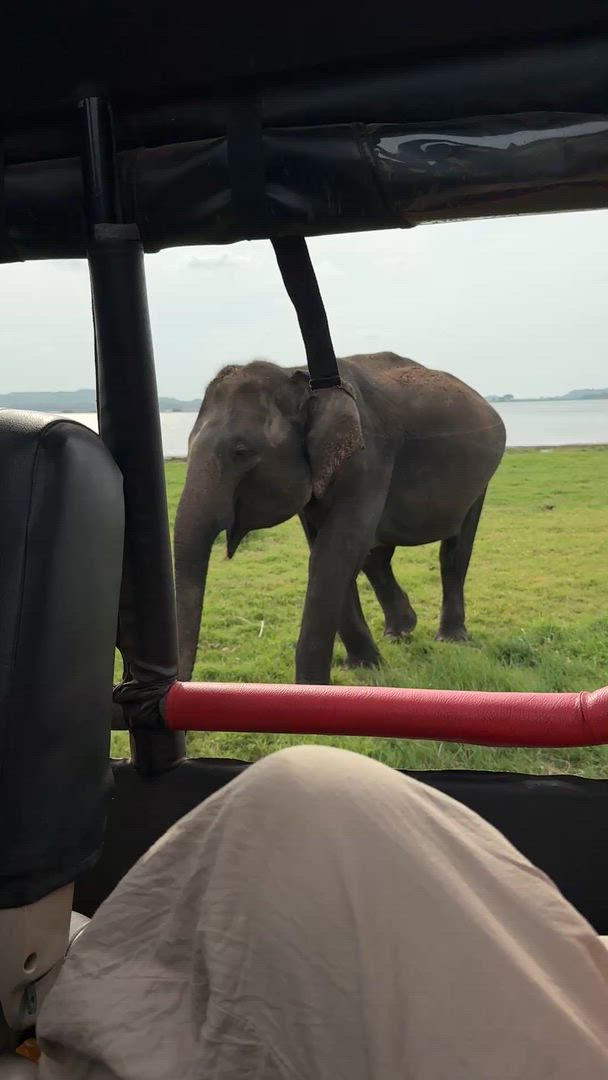 Sri Lanka Reiseverlauf (2 Wochen) Kundenbewertungsvideo