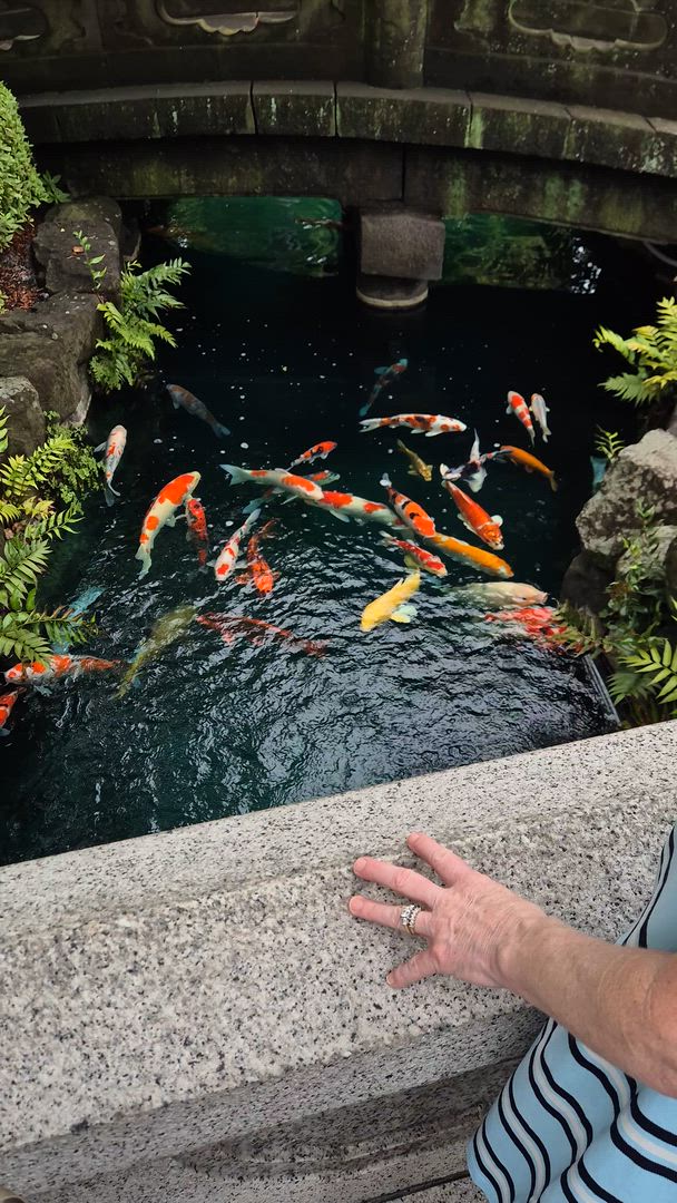 Experience Takayama's traditional charm, learn Kendo from a master, and visit Kyoto's ancient temples and shrines, including the Golden Pavilion. Discover Tokyo's electric neighborhoods and lively izakayas, sample takoyaki (octopus balls) and okonomiyaki (savory pancakes) in Osaka, and reflect on Hiroshima's somber history. Japan awaits.
