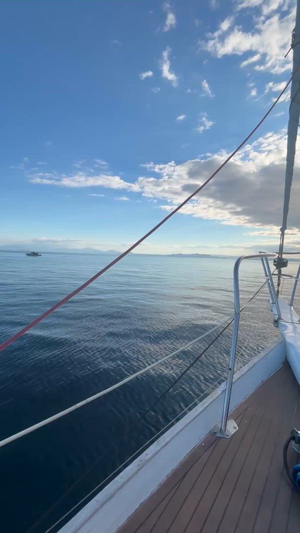 Vídeo de reseña del cliente sobre Introducción NZ 17 días