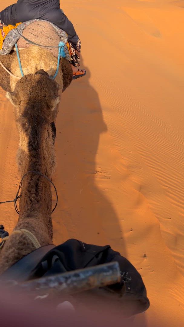 7 Days Tour From Casablanca to Marrakech via the Desert customer review video