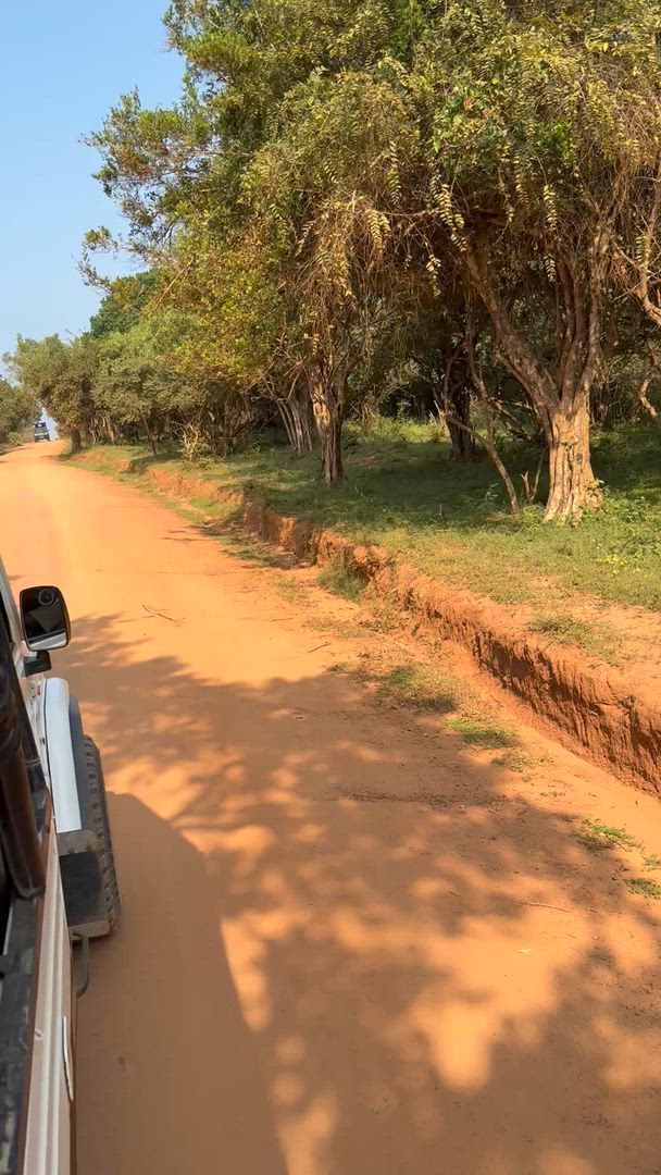 video met klantbeoordeling van Grote rondreis door Sri Lanka