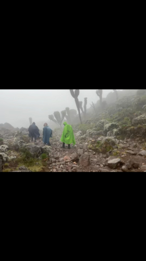 Think Kilimanjaro's Machame Route offers the best balance? Called "Whiskey Route,” Machame takes longer with better acclimatization. You’ll ascend via Shira Plateau, camping at Barranco with its wall to scramble, approaching summit from Barafu Camp. The route's scenic, has higher success rates, and descends differently than it ascends. Whichever route you choose, Kilimanjaro always delivers.