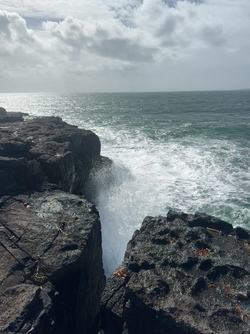 Vídeo de reseña del cliente sobre Acantilados de Moher, Connemara y las islas Aran - Viaja al oeste en tren