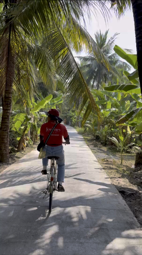 Trouvez votre Vietnam circuit aventure active idéal. Vous avez le choix entre pas moins de 240 voyages durant entre une journée et 22 jours. Le mois comptant le plus grand nombre de départs est Novembre, ce qui en fait le moment le plus apprécié pour aller en Vietnam.