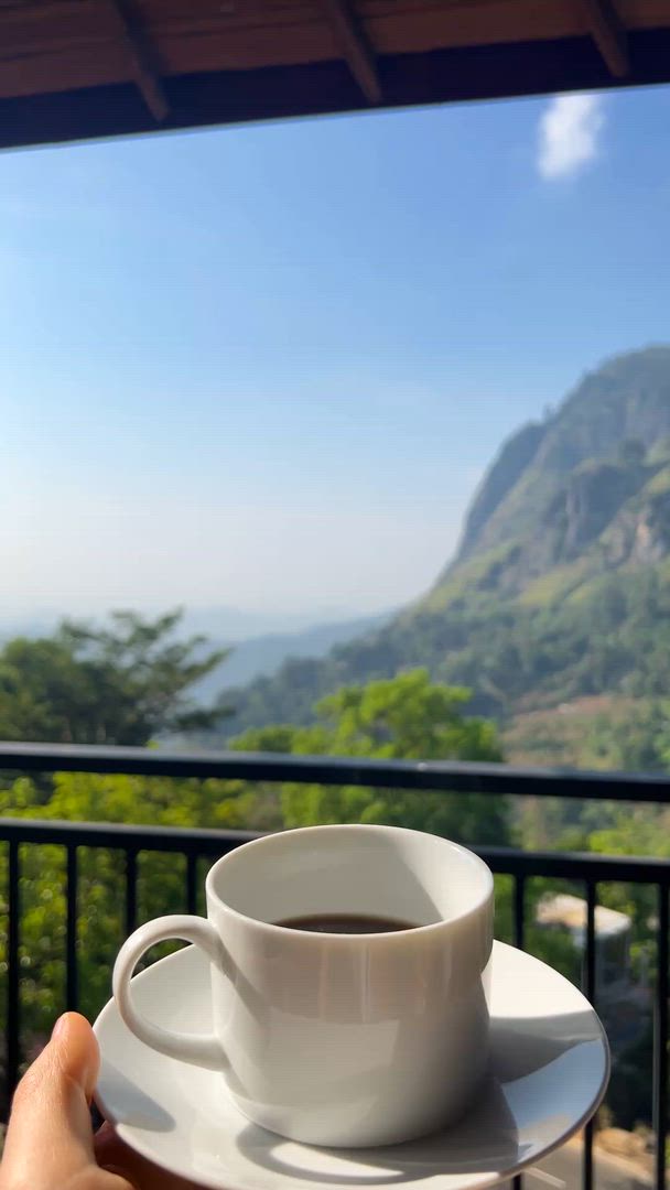 Splendour Of Sri Lanka (7 Days) Upgrade to Private Tour Available customer review video