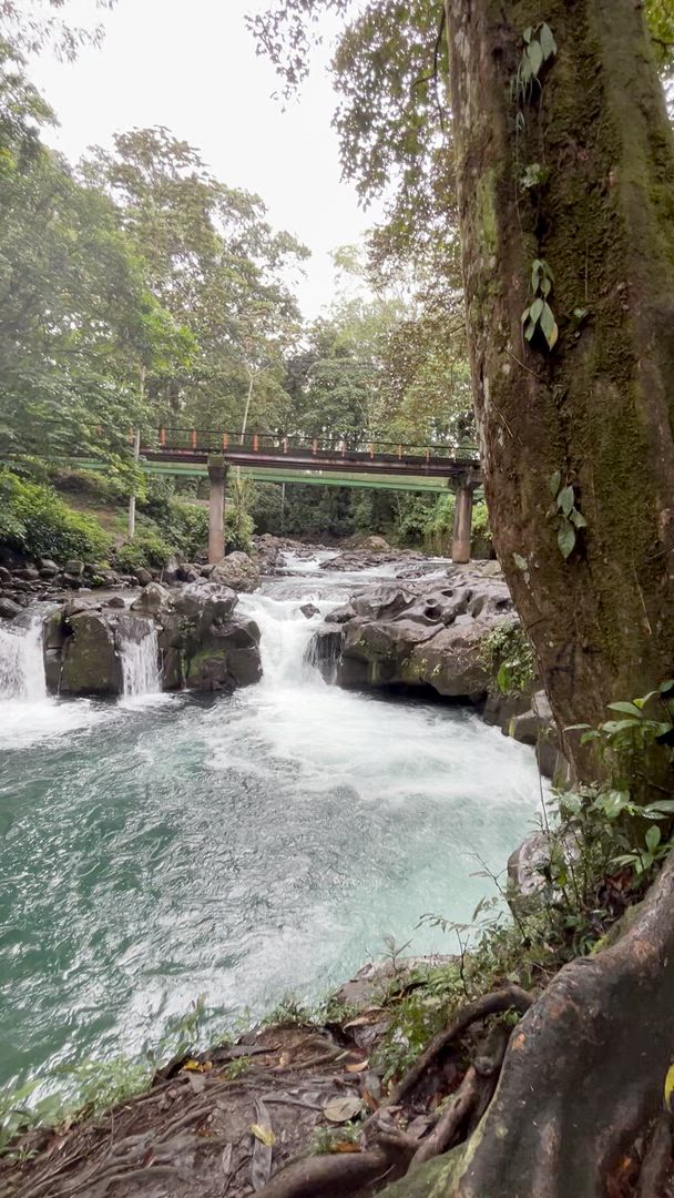 Vídeo de reseña del cliente sobre La esencia de Costa Rica - paquete de viaje con el Parque Nacional Manuel Antonio