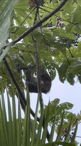 Visitez Costa Rica avec votre propre groupe ou en solo