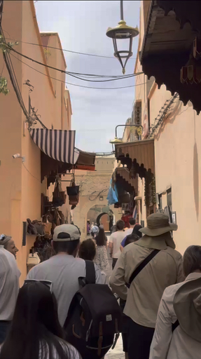 Sélectionnez parmi plus de 1377 circuits culturels et partez à la découverte de sites historiques, plongez dans les traditions locales et immergez-vous dans la culture effervescente de Maroc.
