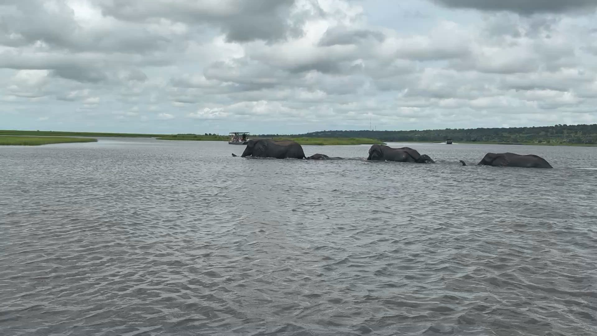 Le meilleur de l'Afrique du Sud customer review video