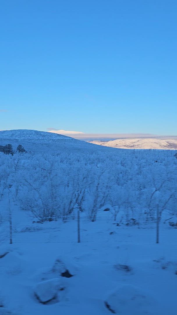 Laponie suédoise : Les aurores boréales customer review video