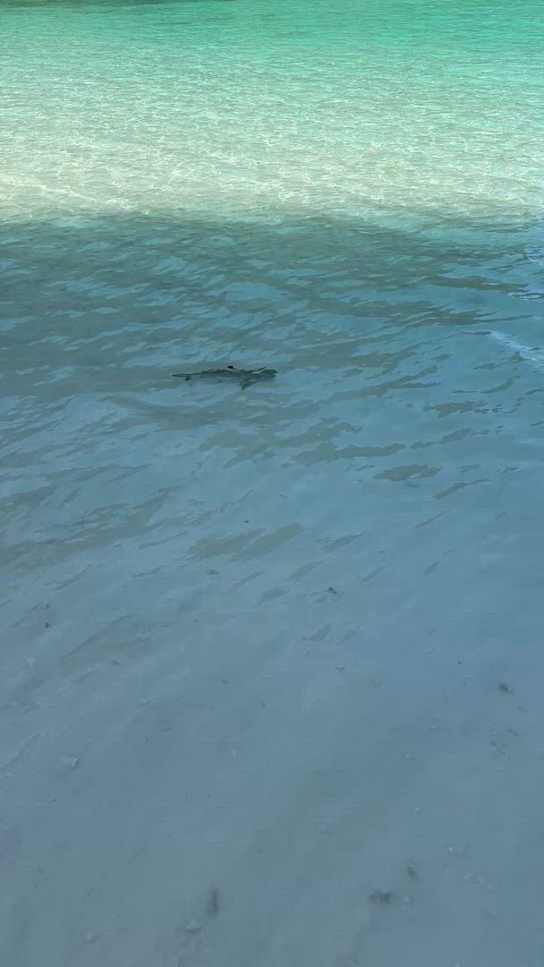 Vídeo de reseña del cliente sobre Exquisito viaje de 14 días por Vietnam y Tailandia