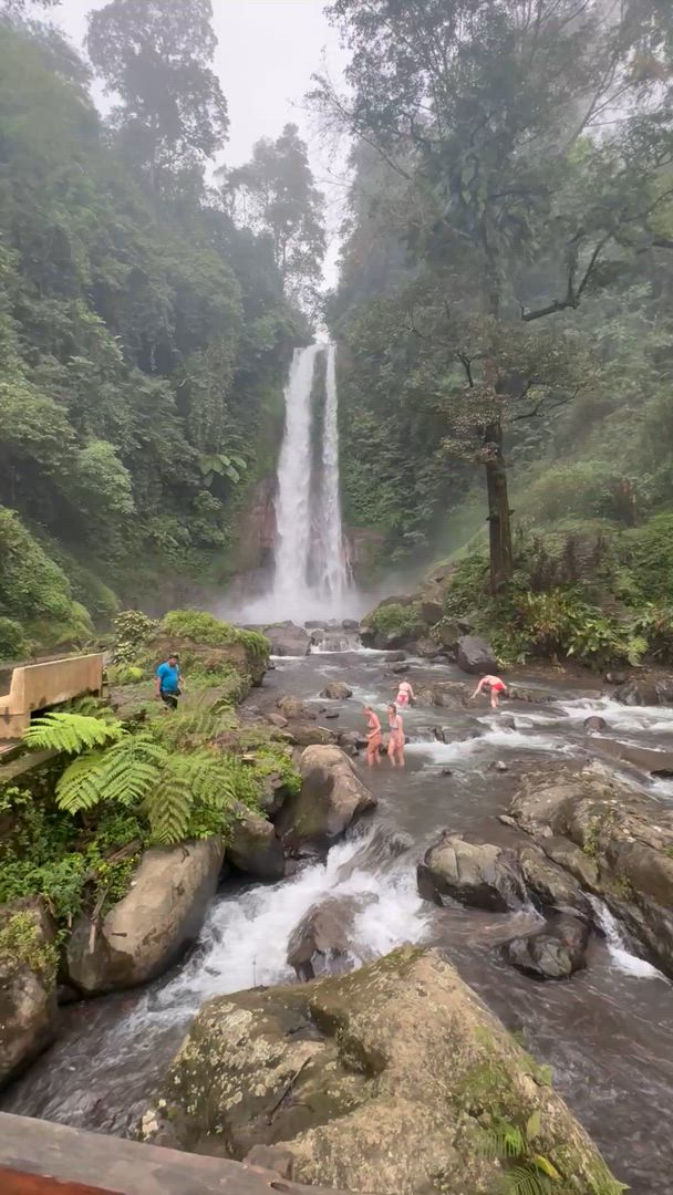 Introduction à Bali - 9 jours customer review video