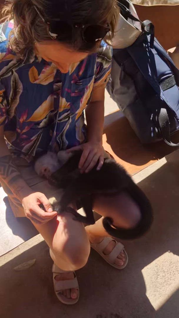 Du Guatemala au Costa Rica customer review video