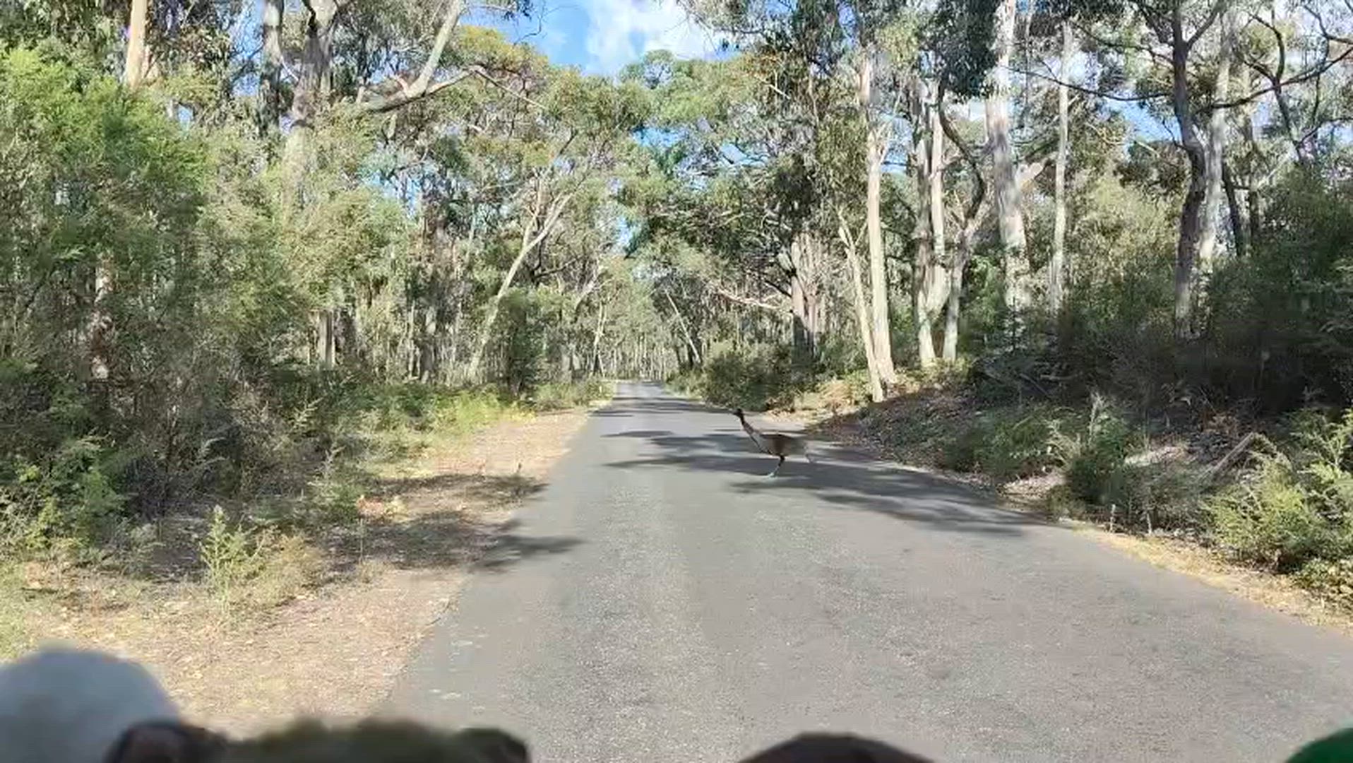 Vídeo de reseña del cliente sobre De Adelaida a Melbourne en 3 días por tierra vía Grampians y Great Ocean Road
