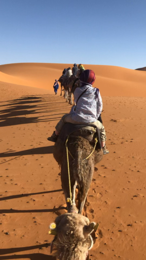 Encuentra el circuito adecuado para ti en África. Tenemos 9581 aventuras en África, empezando desde un día de duración, y el circuito más largo de 269 días.