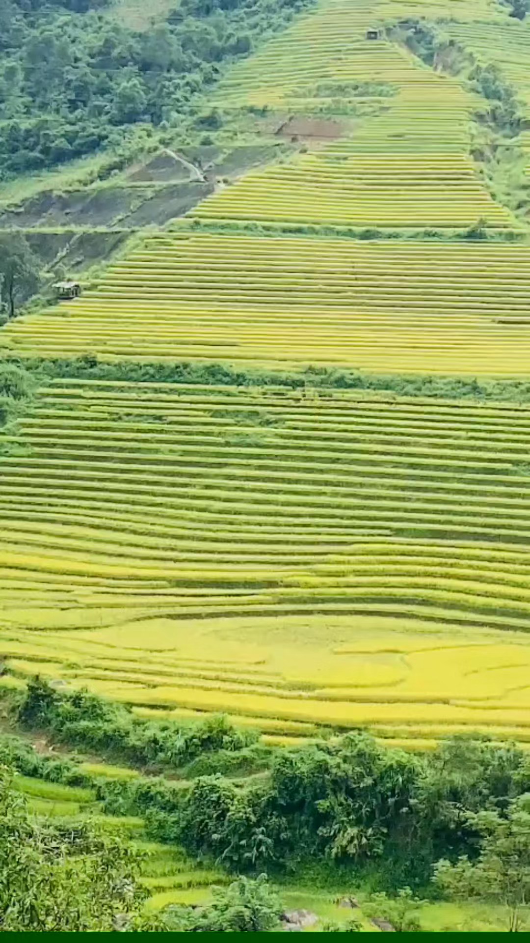Choisissez parmi notre vaste sélection de 1228 circuits entièrement guidés et vivez une expérience sans tracas vers Vietnam, guidés par nos experts.