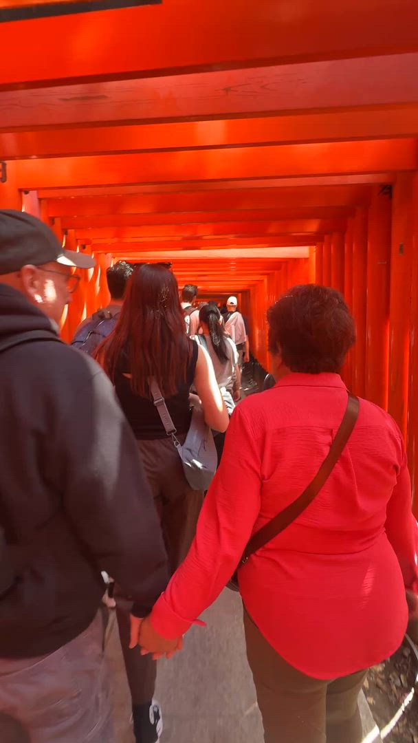 Vídeo de reseña del cliente sobre 14 Días Japón Panorámico (Hoteles Privados 3 Estrellas)