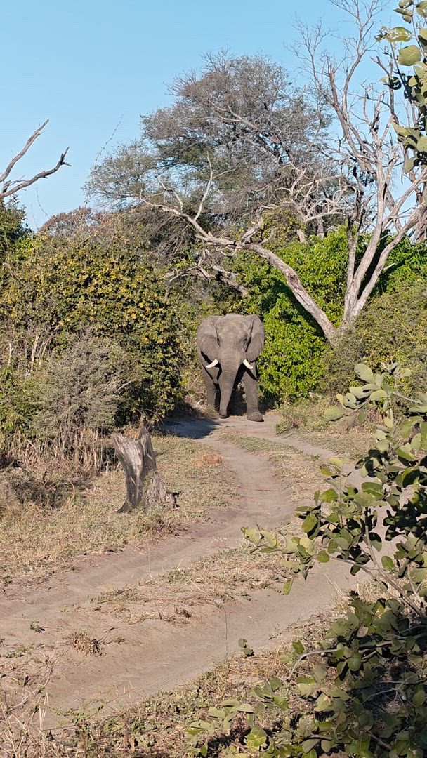 Vídeo de reseña del cliente sobre Experiencia Okavango