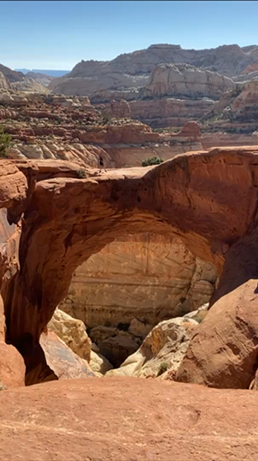 Trouvez votre circuit noël et nouvel an idéal aux États-Unis. Vous avez le choix entre pas moins de 115 voyages durant entre une journée et 23 jours. Le mois comptant le plus grand nombre de départs est Décembre, ce qui en fait le moment le plus apprécié pour aller aux États-Unis.