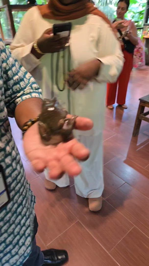 City to Serenity: 9-Day Malaysian Discovery customer review video