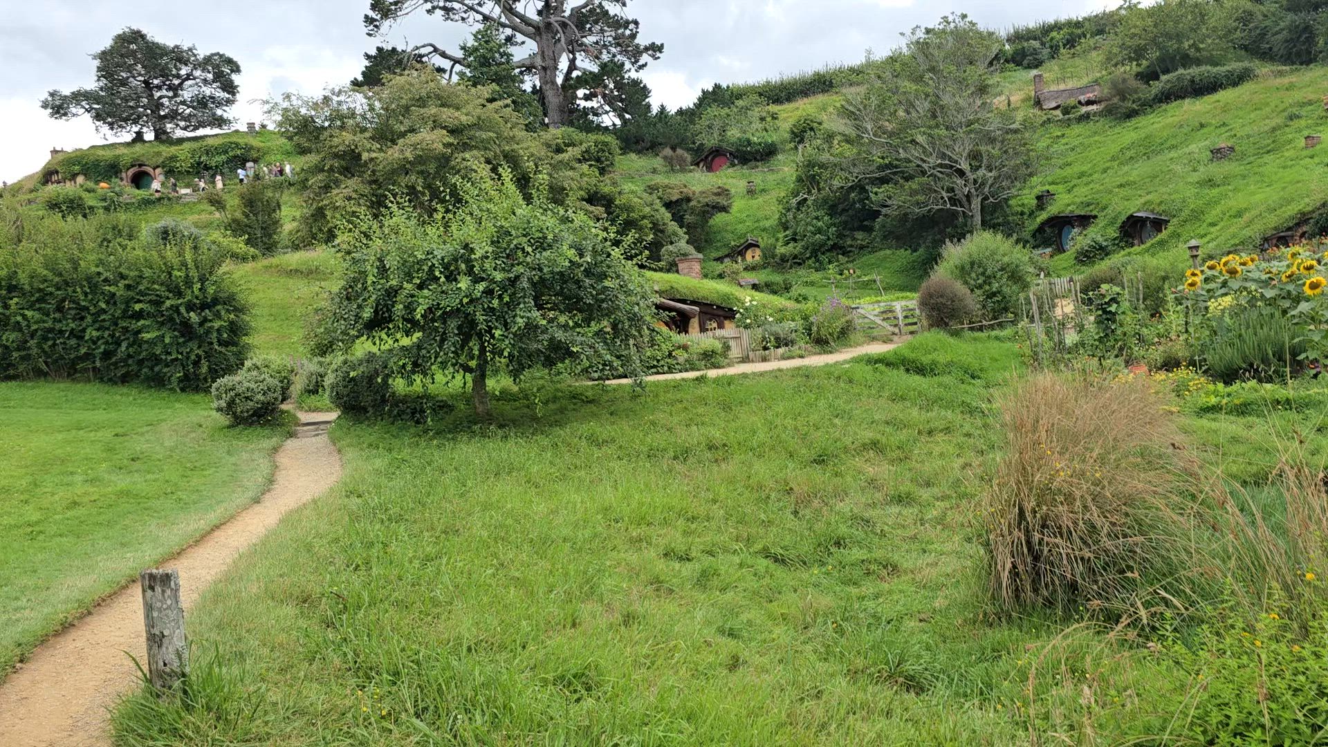 Nouvelle-Zélande Vista customer review video