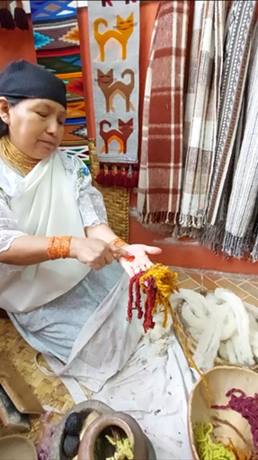 Vibrant cities and stunning nature blend in Ecuador, packed with memorable experiences. Wander Quito’s old center and cross the equator at Mitad del Mundo, the “Middle of the World”. For nature, head to the Galápagos Islands and swim with sea turtles and sea lions. Head to one of the world’s biggest craters by hiking up Sierra Negra Volcano or discover the diverse ecosystems of the Amazon Rainforest.