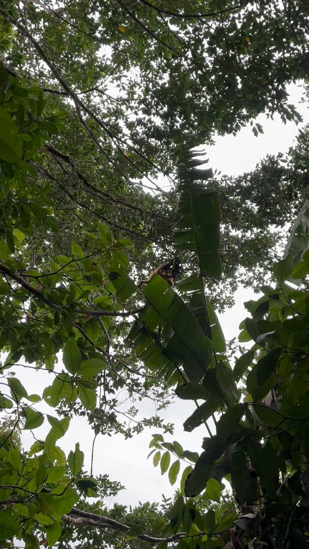 Vídeo de reseña del cliente sobre La esencia de Costa Rica -Paquete incluido Guanacaste