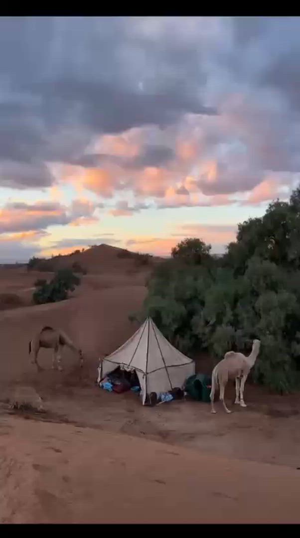 video met klantbeoordeling van 3 Dagen Avontuurlijke trektocht op een kameel in de Sahara-woestijn van Marokko