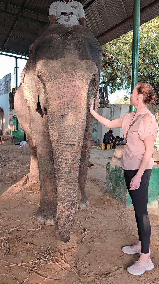 Circuit du Triangle d'Or avec Varanasi customer review video