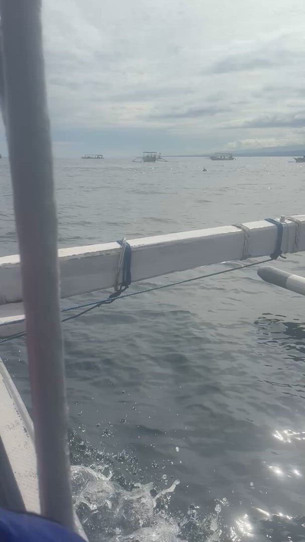 Introduction à Bali - 9 jours customer review video