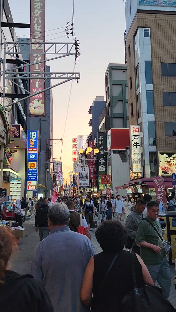 Trouvez votre circuit idéal au Japon. Nous avons 635 aventures à vous proposer au Japon entre 2 et 90 jours.