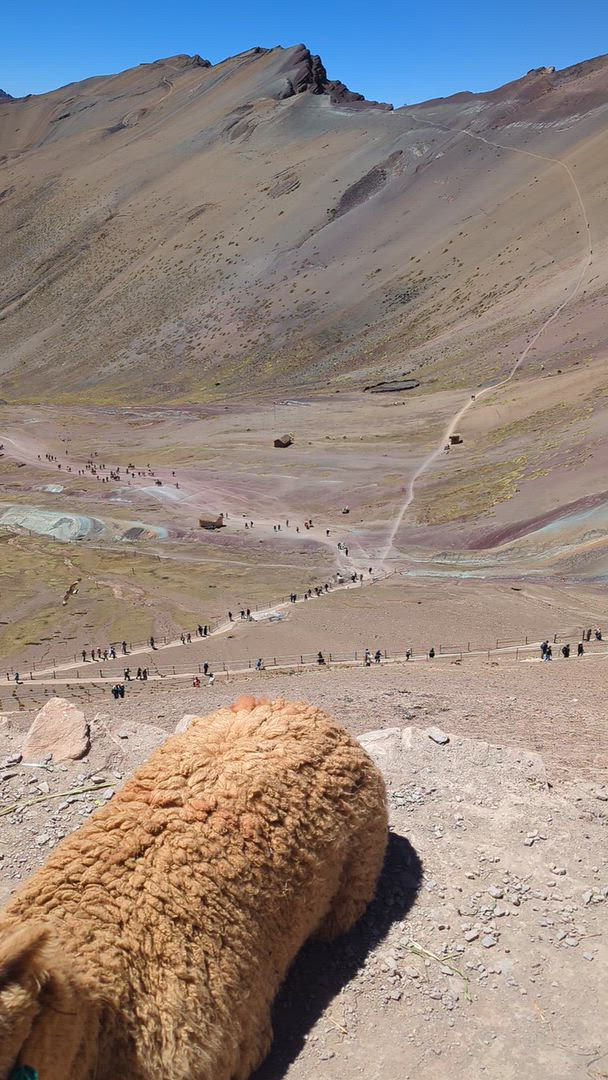 Vídeo de reseña del cliente sobre 6 días de aventura: Cusco, Machu Picchu, Lago Humantay y Montaña Arco Iris