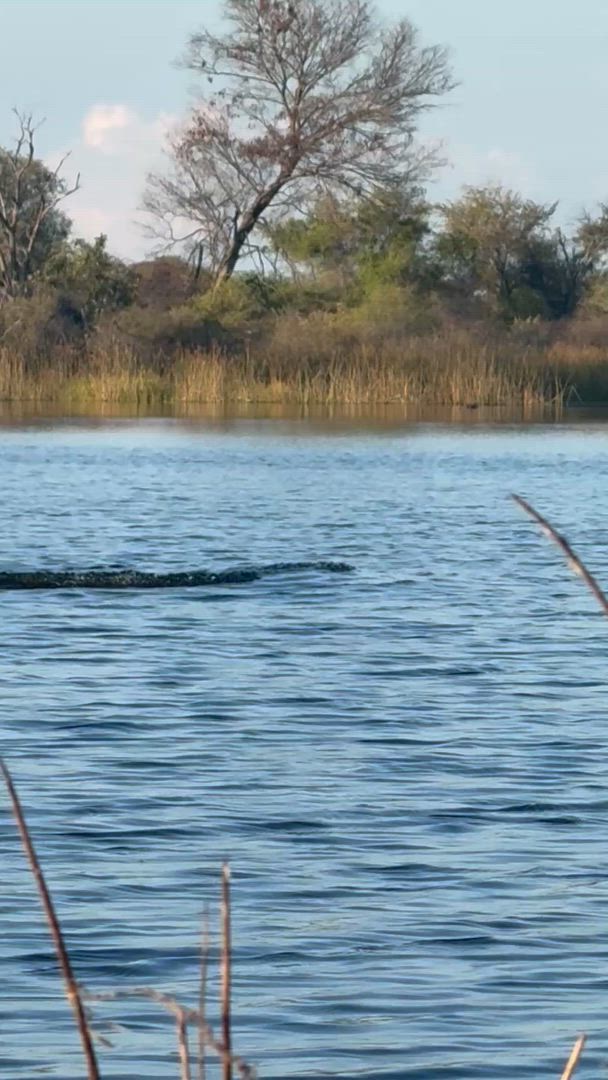 Vídeo de reseña del cliente sobre Delta y cataratas en dirección este: Árboles baobab y vistas al río