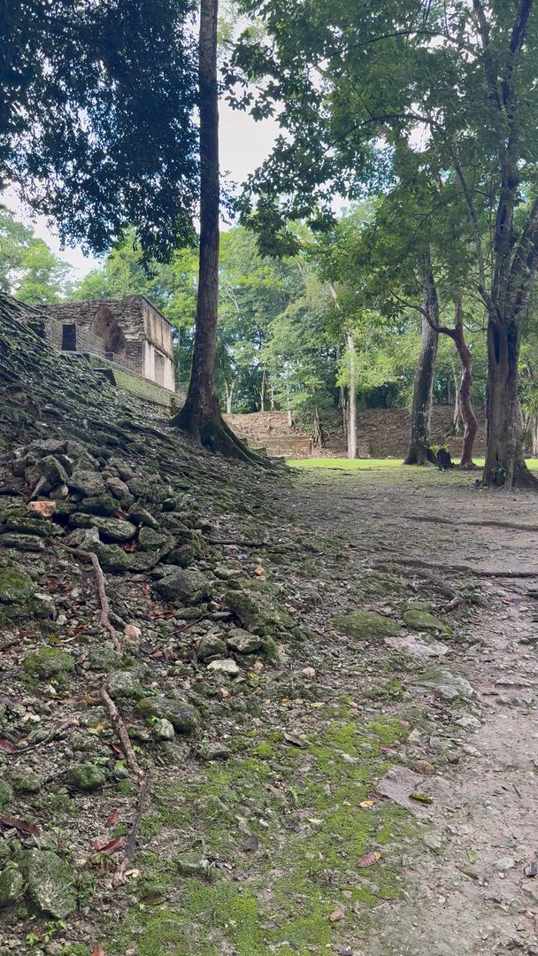 Vídeo de reseña del cliente sobre Tierra de Belice y Tikal