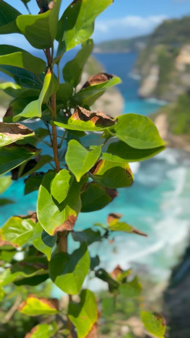 Bali Classic 12 jours - One Life Adventures customer review video