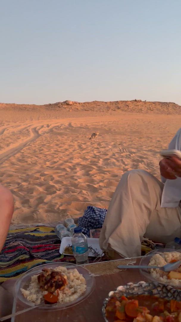 Kies uit meer dan 164 culturele rondreizen en verken de historische locaties en lokale tradities, en dompel jezelf onder in de levendige cultuur, van Egypte.