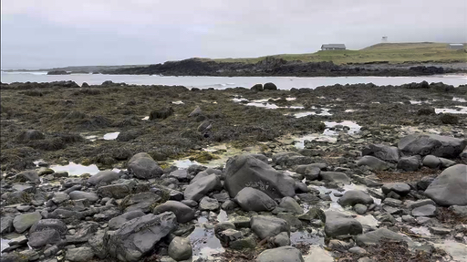 Trouvez votre circuit idéal dans la région Sud de l'Islande. Nous avons 207 aventures à vous proposer dans la région Sud de l'Islande. Le mois le plus apprécié pour s'y rendre est Août, c'est-à-dire le mois qui compte le plus grand nombre de départs.