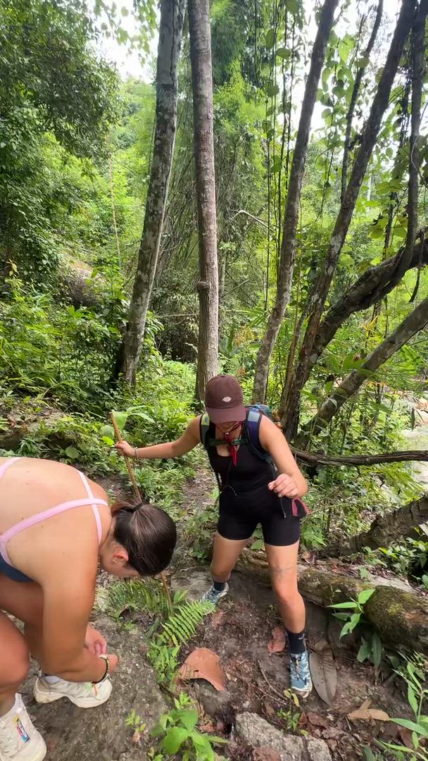 Ready for a Thailand adventure? Imagine rock climbing Krabi's limestone cliffs, trekking northern hills, scuba diving Similan Islands, white-water rafting, and jungle trekking. Thailand's adventure scene is brilliant and affordable. You'll push yourself physically whilst experiencing Thailand beyond beaches and temples.