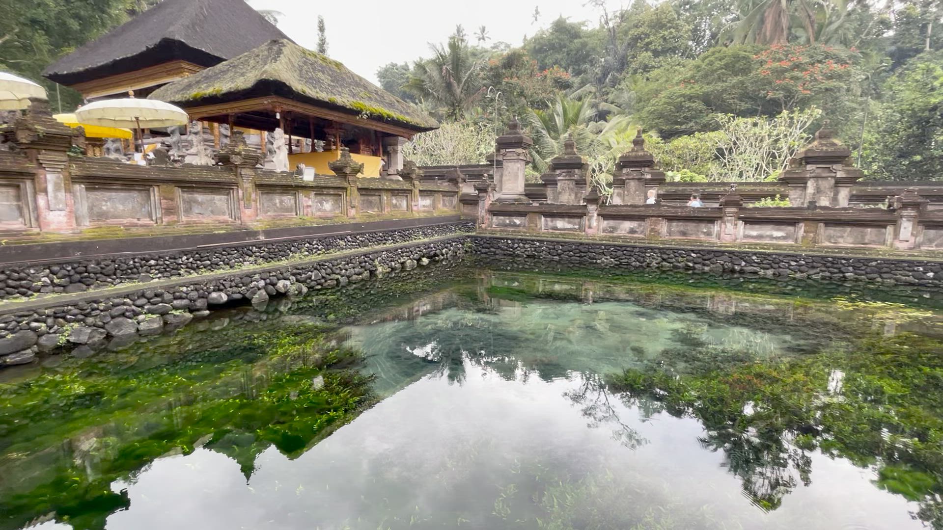 13 jours pour découvrir Bali, Lombok et Flores customer review video