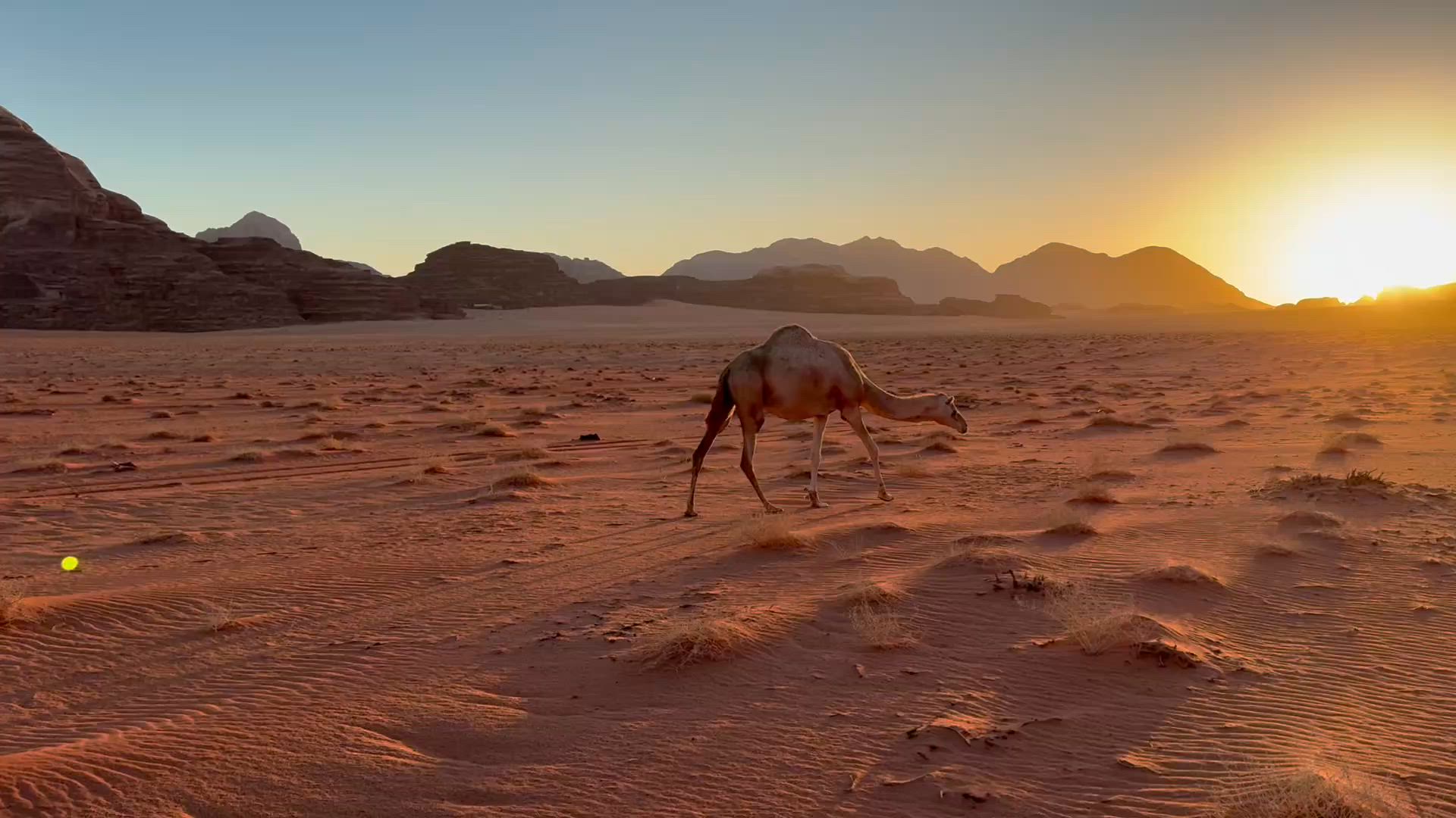 Découverte de la Jordanie customer review video