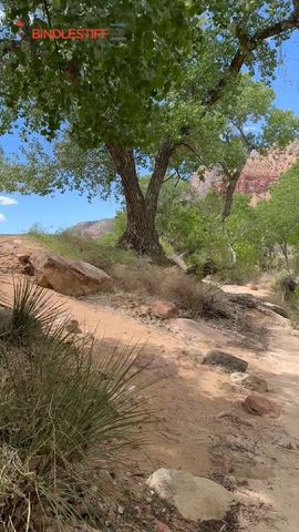 Grand Canyon &amp; südwest Nationalpark Rundreise - 7 Tage Rundreise
