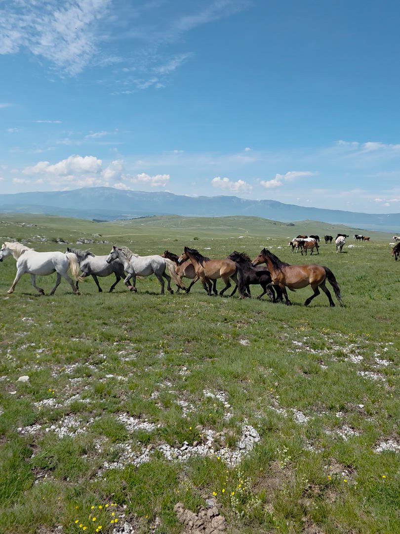 Bosnia & Herzegovina Adventure customer review video