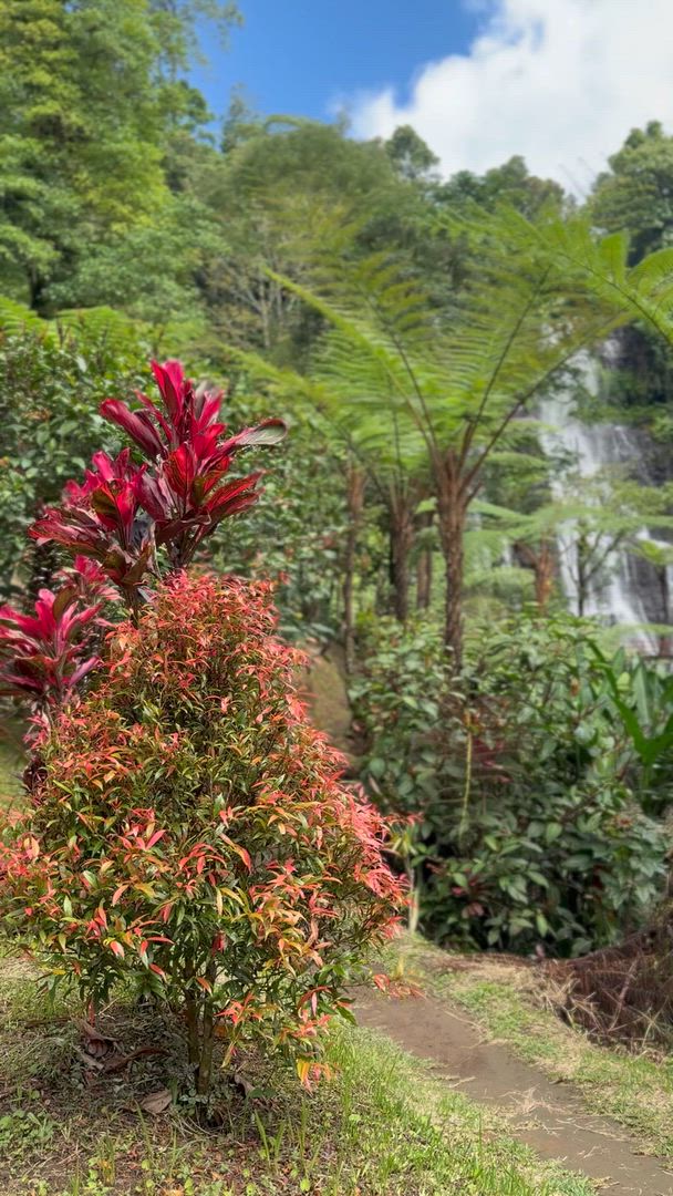 Bali Classic 12 jours - One Life Adventures customer review video