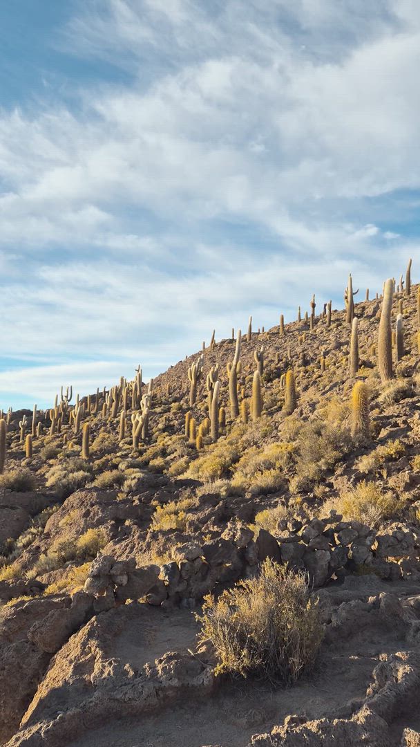 Vídeo de reseña del cliente sobre Desierto de Atacama y Salar de Uyuni - Aventura en Grupo