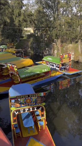 Trouvez votre circuit idéal au Mexique. Nous avons 290 aventures à vous proposer au Mexique entre une journée et 28 jours.