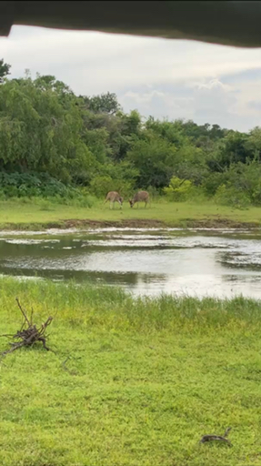 Trouvez votre Asie Safari idéal. Vous avez le choix entre pas moins de 370 voyages durant entre une journée et 26 jours. Le mois comptant le plus grand nombre de départs est Mai, ce qui en fait le moment le plus apprécié pour aller en Asie.