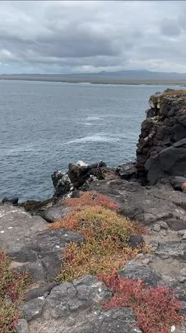 10 jours d\'excursion sur les îles Galápagos à Santa Cruz et Isabela circuit